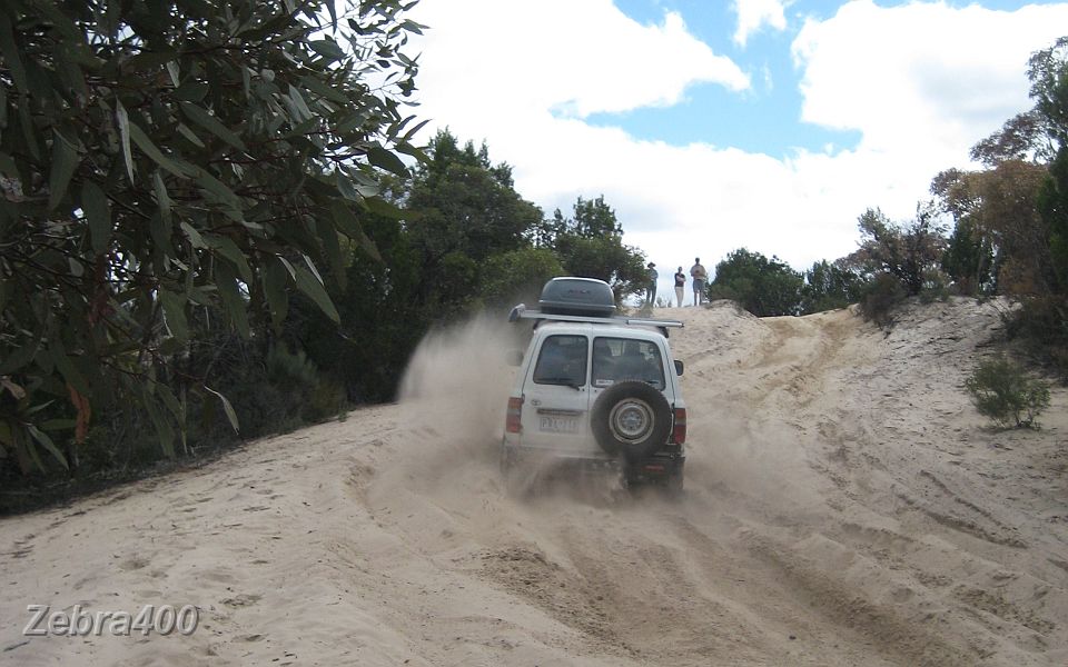 17-Mutton finally makes it up a bumpy dune.JPG